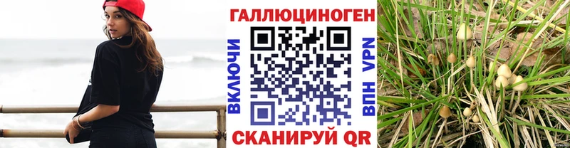 Псилоцибиновые грибы мухоморы Усть-Джегута