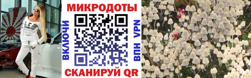 Псилоцибиновые грибы мицелий Усть-Джегута