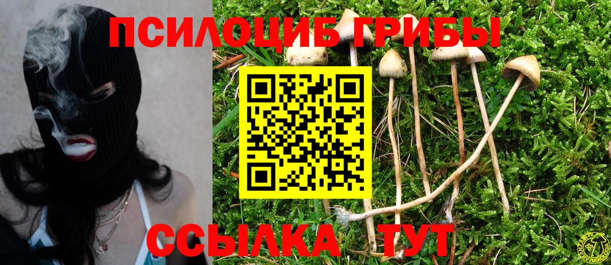 Усть-Джегута  Псилоцибиновые грибы Cubensis  Галлюциногенные грибы Psilocybe  Вход с VPN 